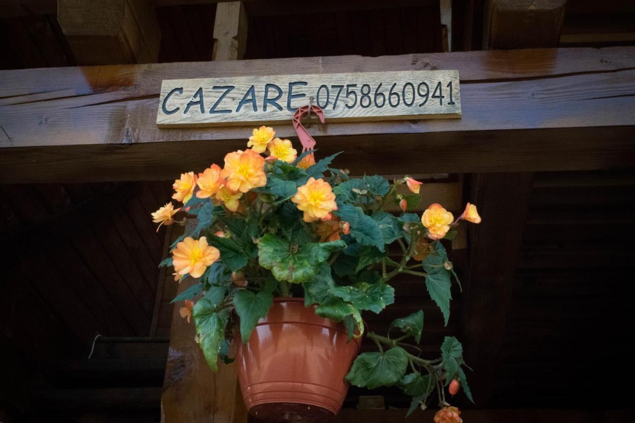 Cabanele Rus Budfalva Kültér fotó